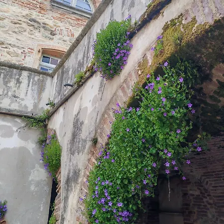 Charme Et Elegance Au Coeur Du Village *